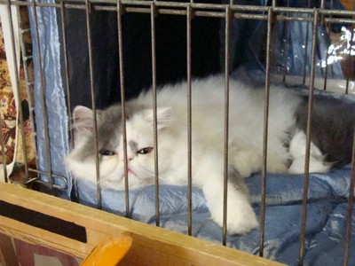 20121021_129 (Expo)